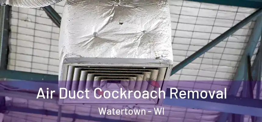 Air Duct Cockroach Removal Watertown - WI