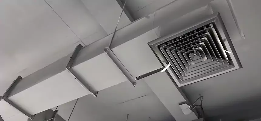 Our Pest Removal From Ducts Services in Watertown, WI