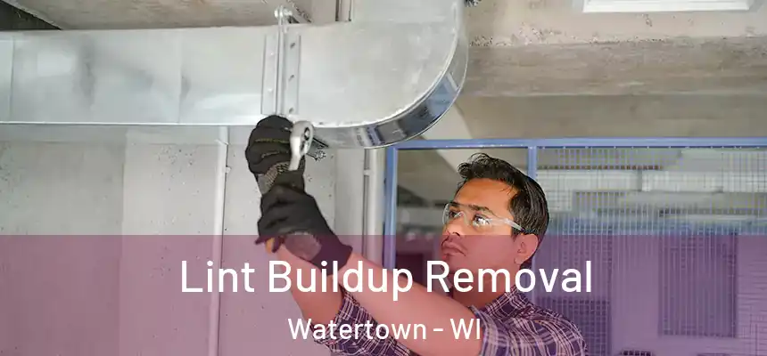  Lint Buildup Removal Watertown - WI
