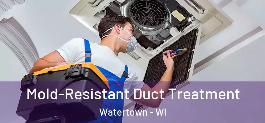 Mold-Resistant Duct Treatment Watertown - WI