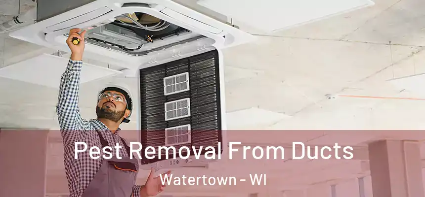 Pest Removal From Ducts Watertown - WI