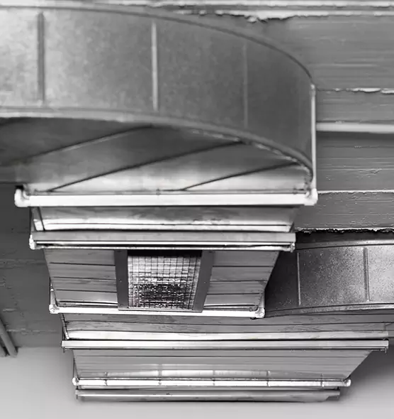 Professional Air Duct Pet Hair Removal in Watertown, WI