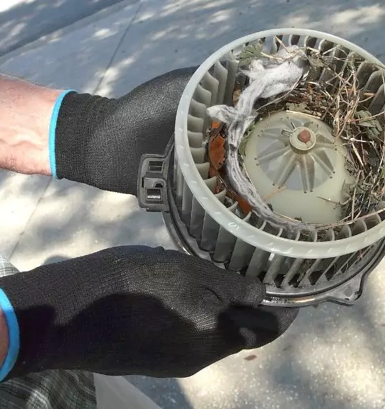 About Air Duct Rat Removal in Watertown, WI