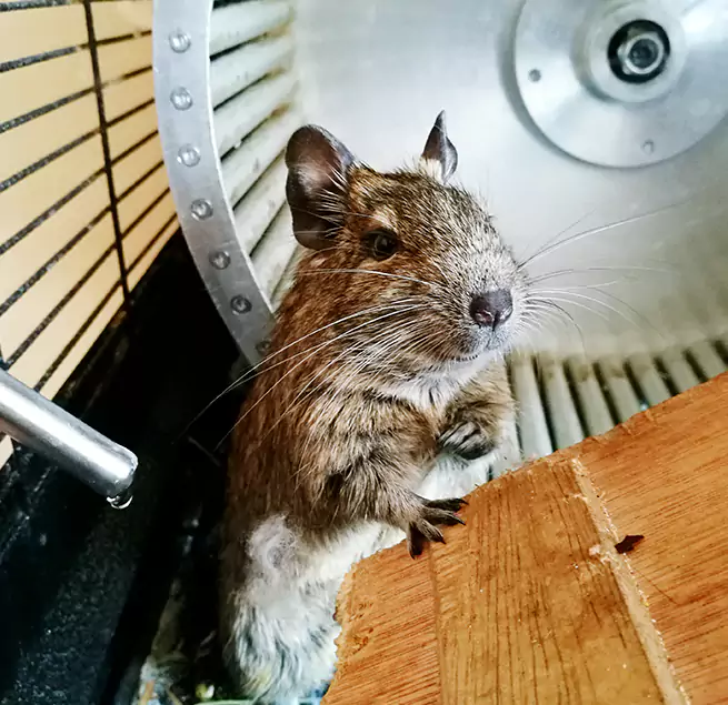 Why Homeowners & Businesses Trust Us Watertown, WI